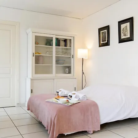 Magnolia Yourhosthelper *